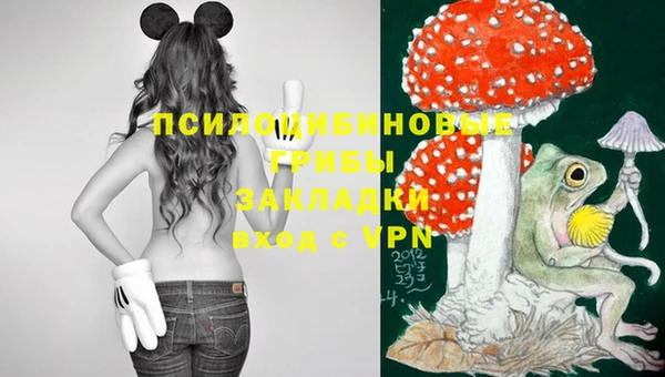 каннабис Алзамай