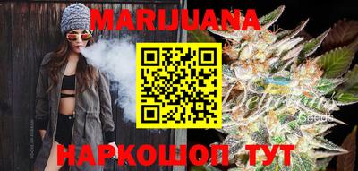 spice Бердск