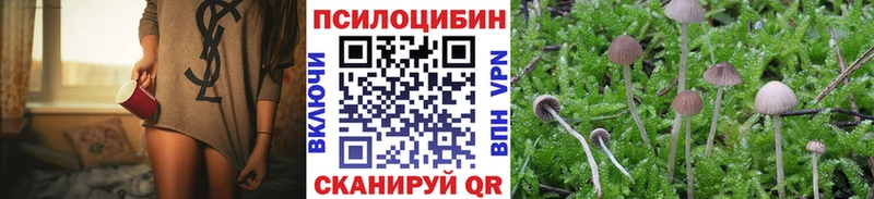 где можно купить   Раменское  ссылка на мегу зеркало  Псилоцибиновые грибы Cubensis 