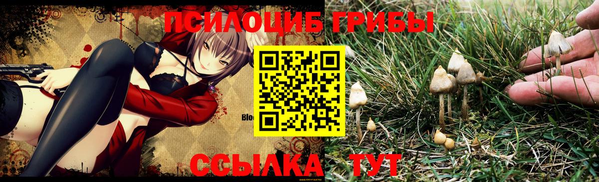 Галлюциногенные грибы MAGIC MUSHROOMS Раменское