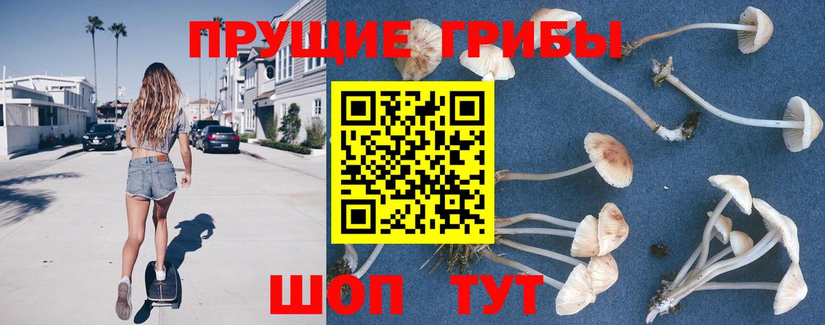 Псилоцибиновые грибы MAGIC MUSHROOMS  Вход с VPN  Раменское  Псилоцибиновые грибы MAGIC MUSHROOMS 